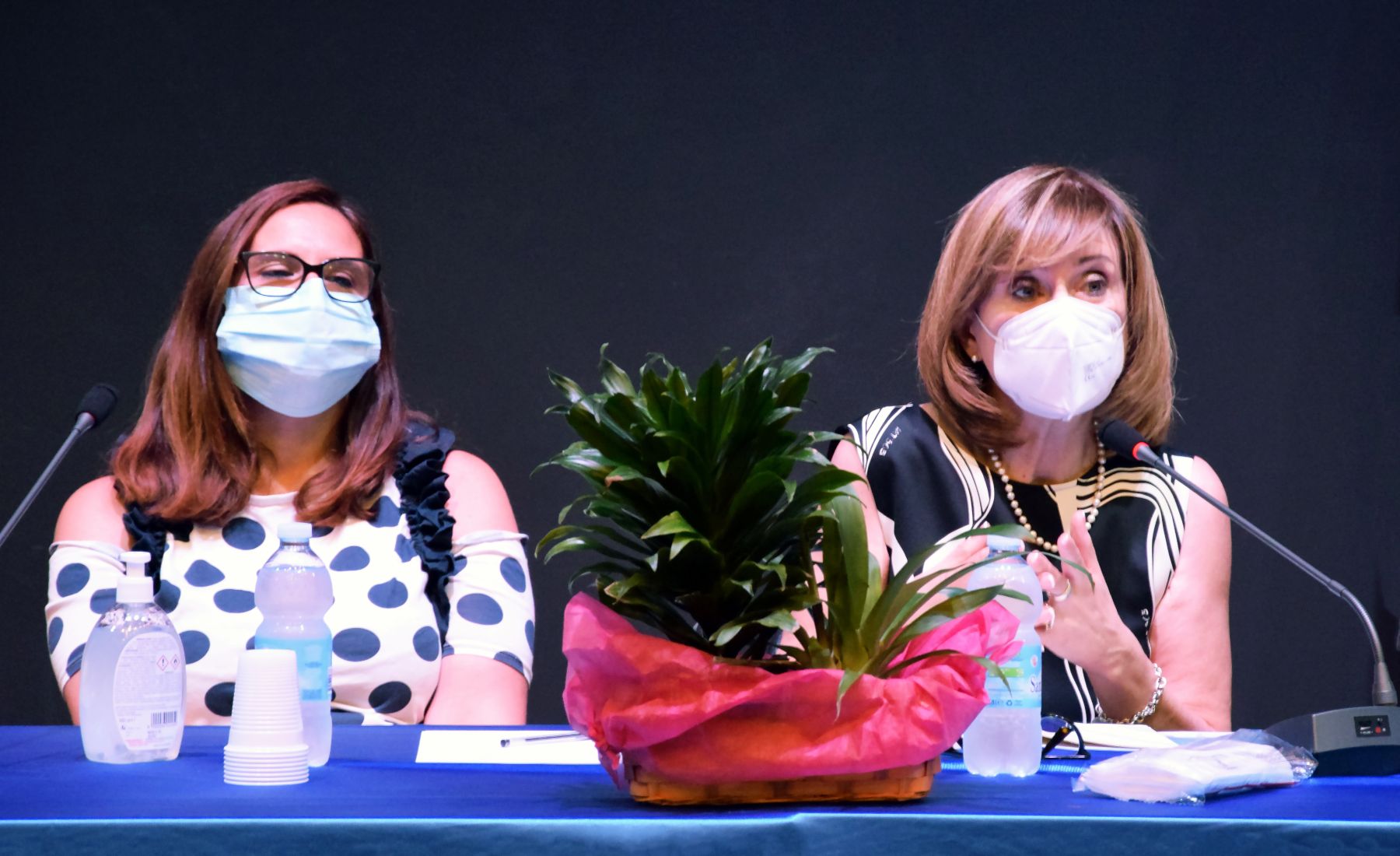 Disseminazione 13